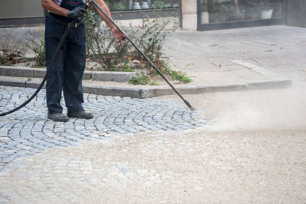 Best Driveway Pressure Washing  in Stonebridge, NJ